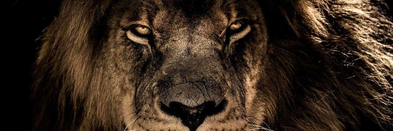 Tecnobarbaro's profile banner image
