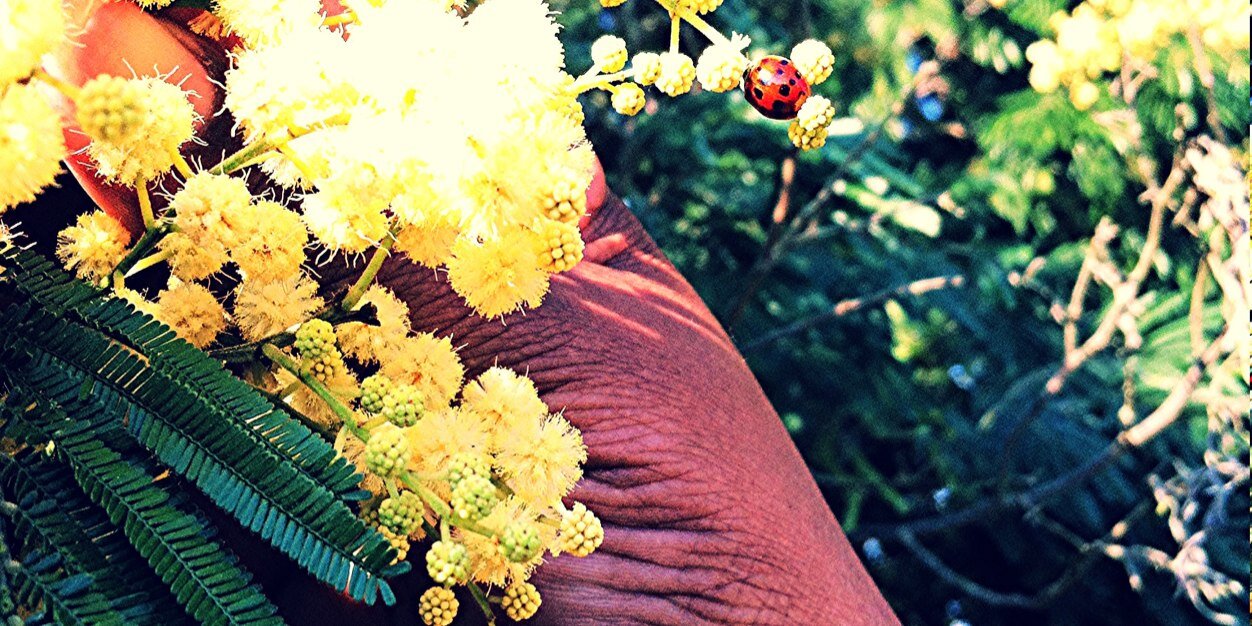 CaroliineBraz's profile banner image