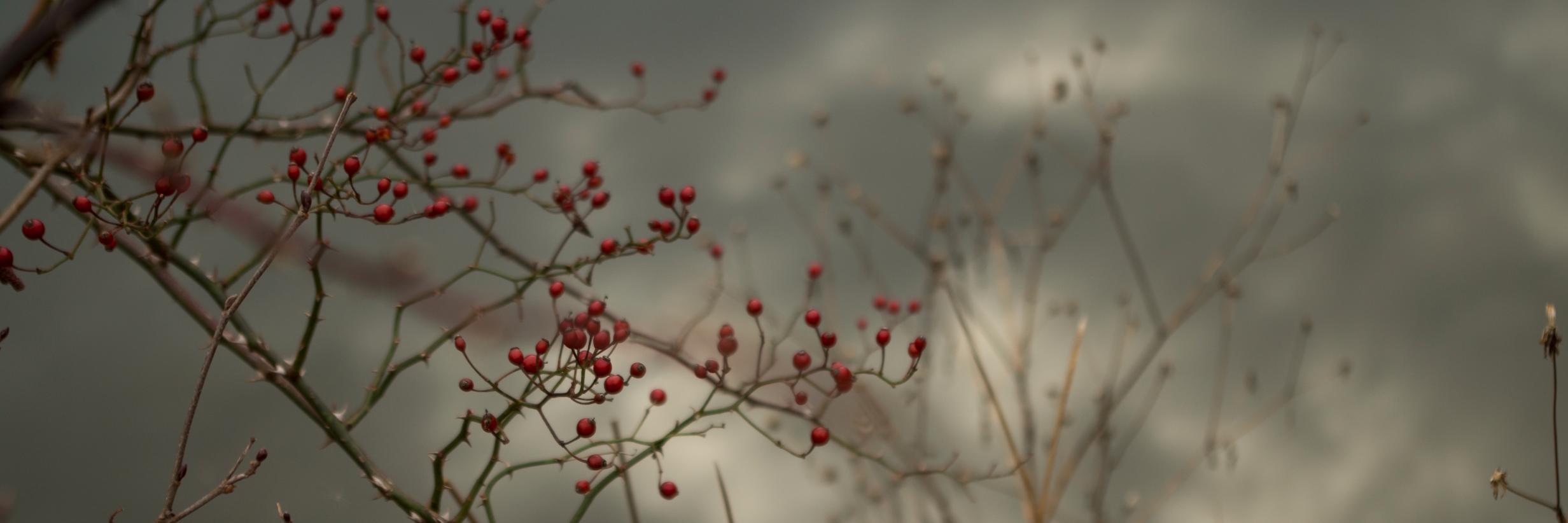 Emarieg's profile banner image