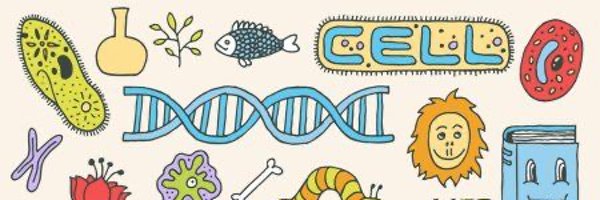 LCbio Profile Banner