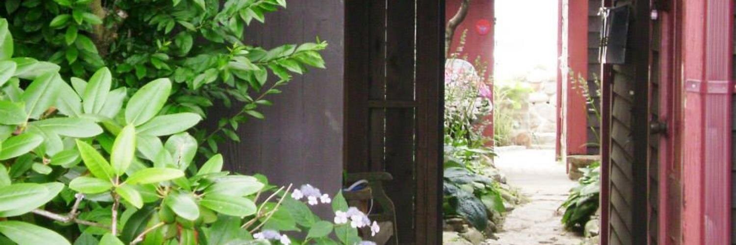 Dale Ann Micalizzi banner