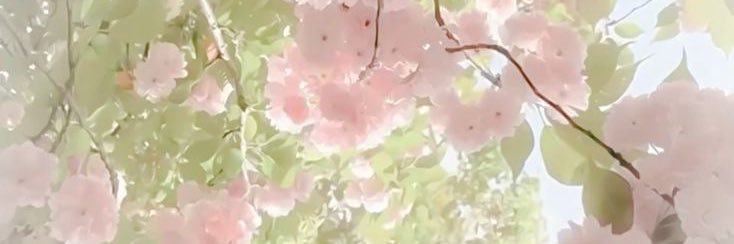 lini's banner