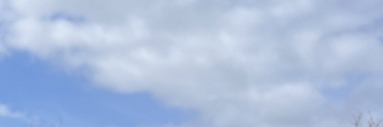 かな banner
