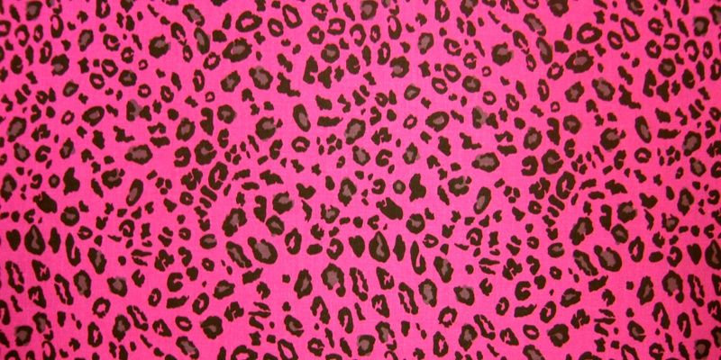 hellomuutt's profile banner image