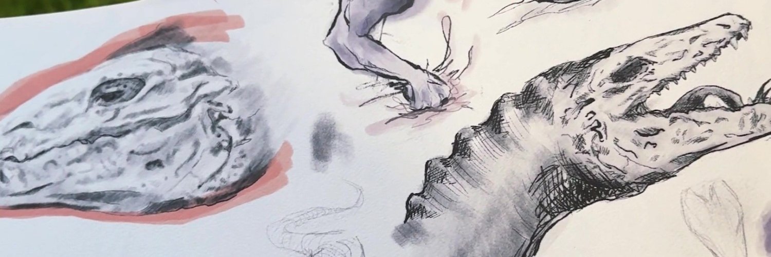 scifls's profile banner image
