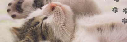 yz54787's profile banner image