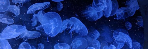 dojacain Profile Banner