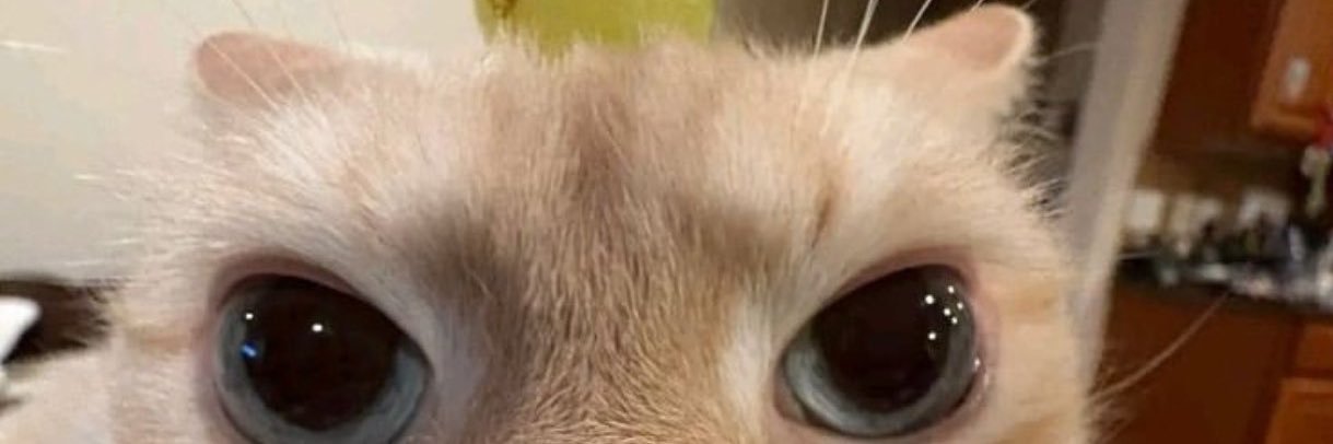 The Creature:3 banner