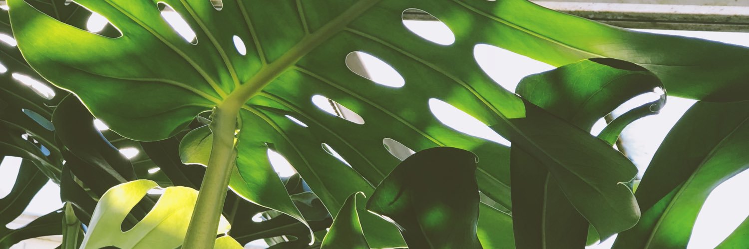 Chandler banner