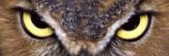 cumminser's profile banner image