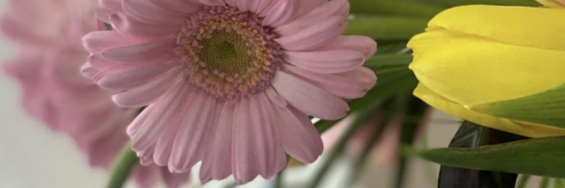 love_bab's profile banner image