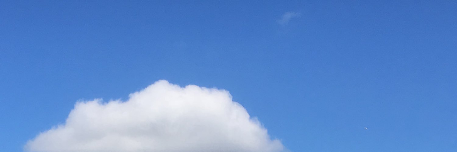 Matt Sims mercifull.com banner