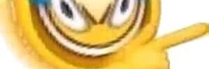 sera banner