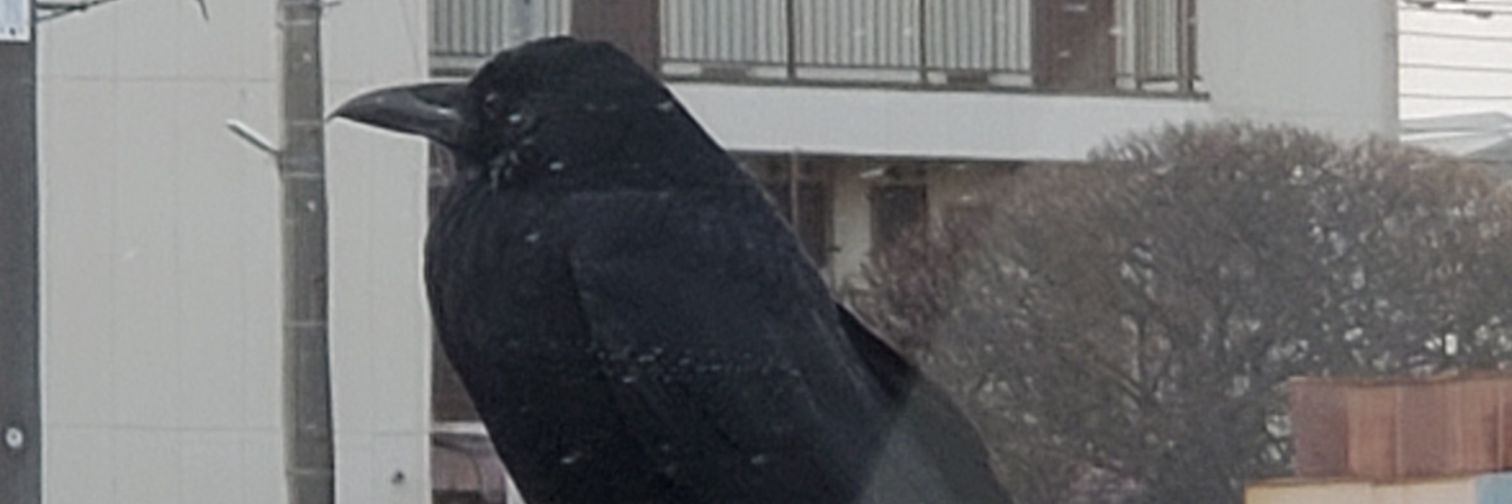 kirio222's profile banner image