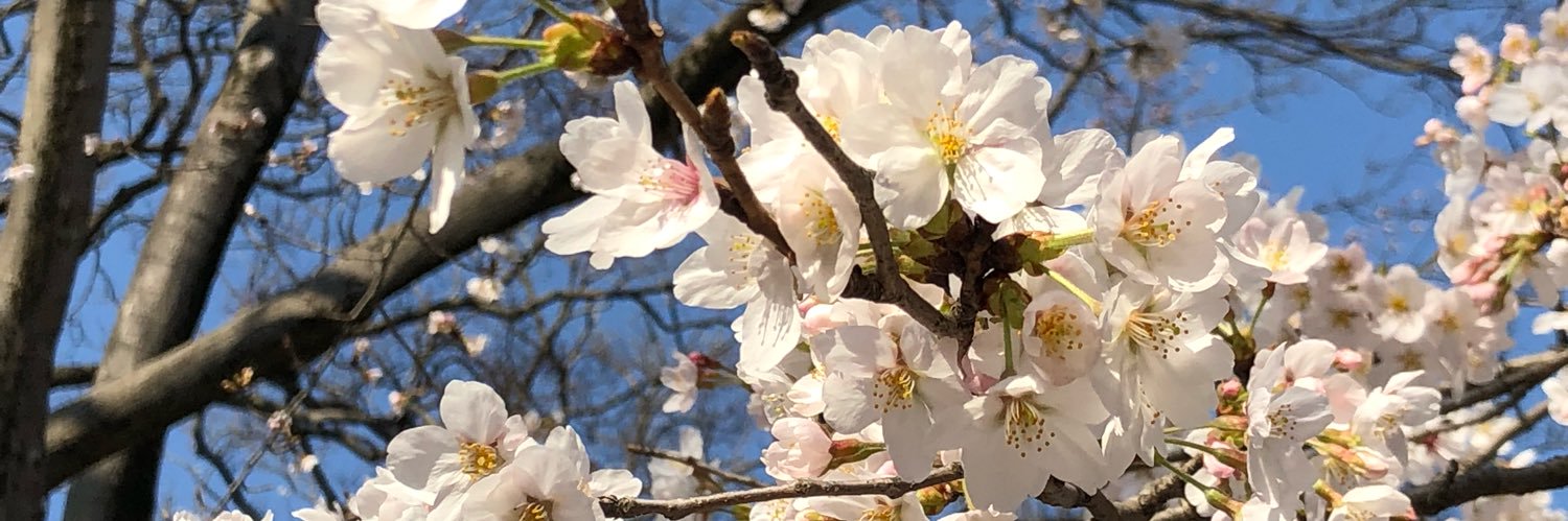 清水 弘子 banner