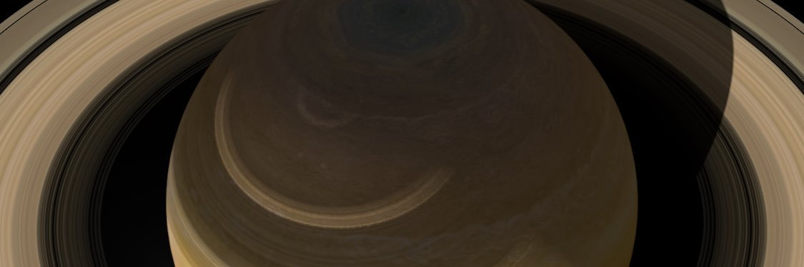 blocchainmane banner