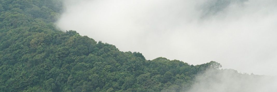 7spokes's profile banner image