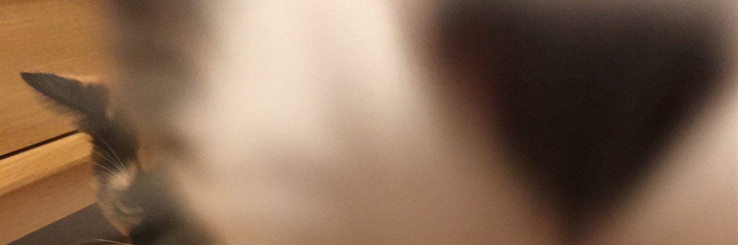 rorororoy's profile banner image