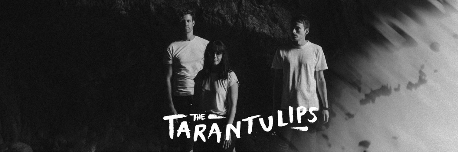TheTarantulips's profile banner image