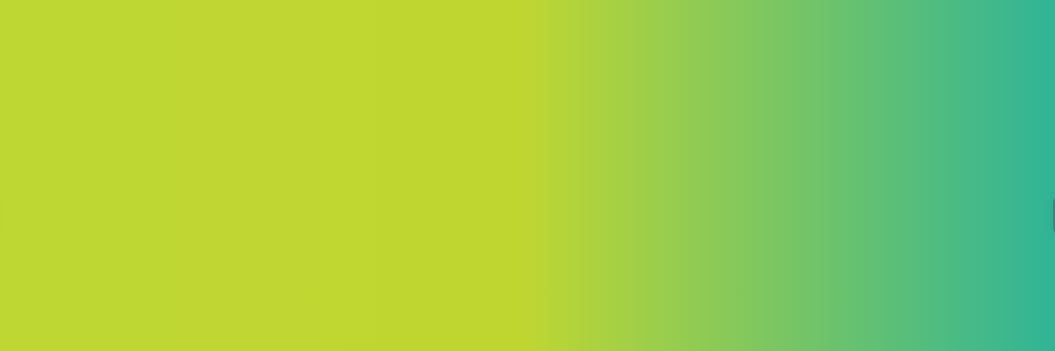 Bison Data Labs's banner