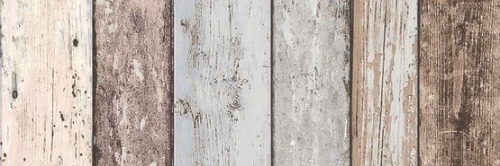 AleZardain's profile banner image