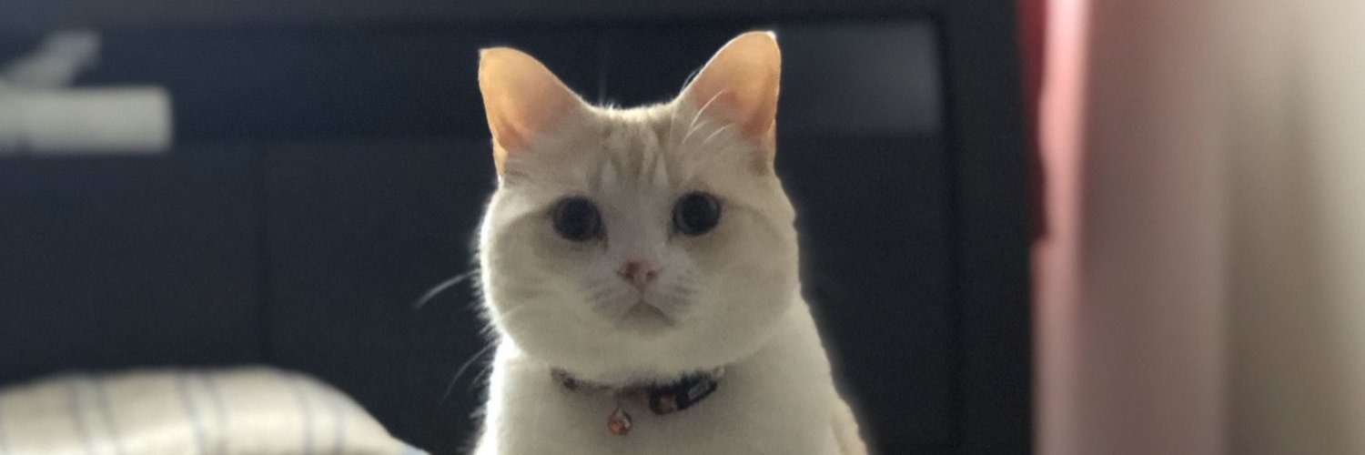 白取春彦 (shira10ri) / Twitter