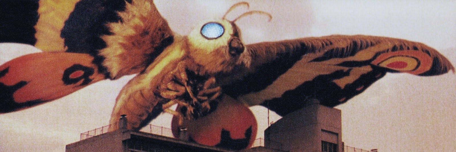 Daily Mothra ʚïɞ's banner