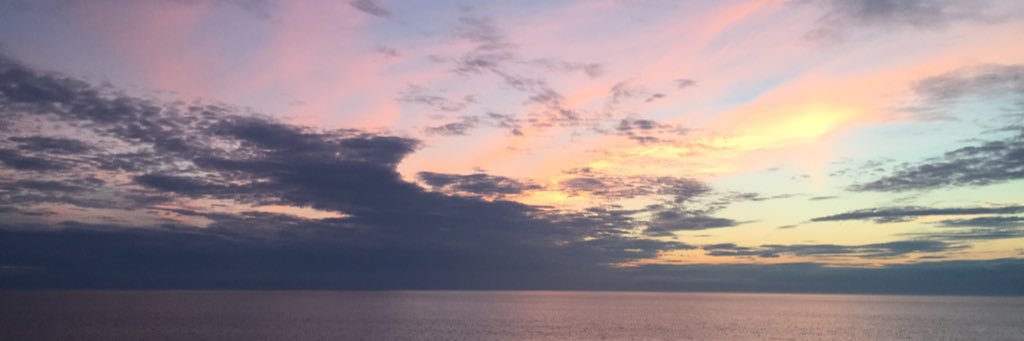 TheDreamIsThee's profile banner image