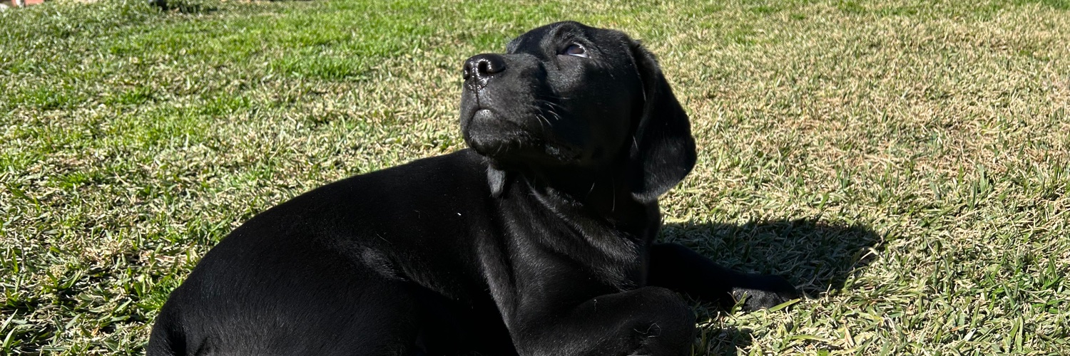 yaymeee_'s profile banner image