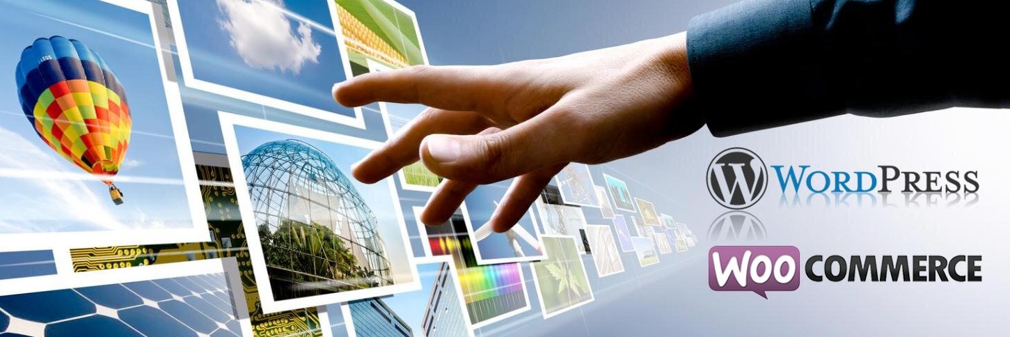 Web18_Paris's profile banner image