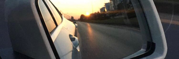 Mayn2Monkey's profile banner image