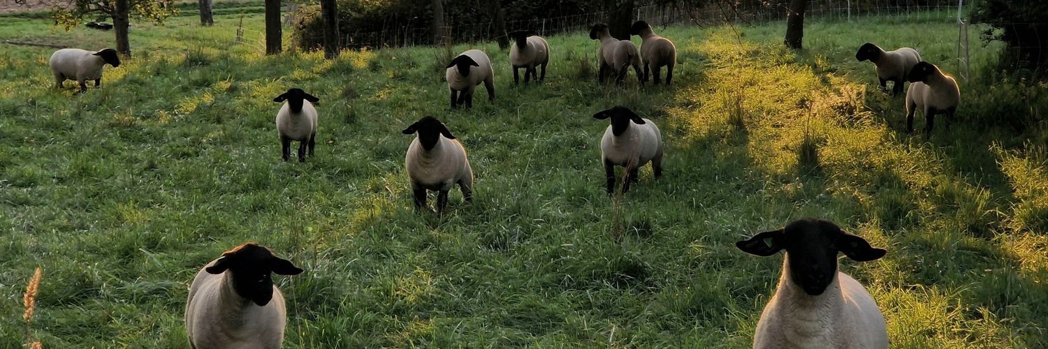 🇨🇴 Camilita 🇨🇴 banner