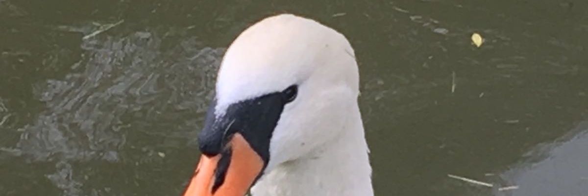 RichardJCrook's profile banner image