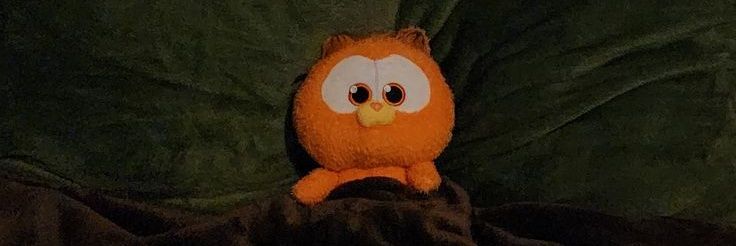 محدث‌ه🐋 banner