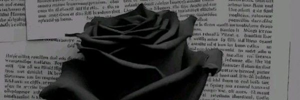 WinnerTech100 Profile Banner