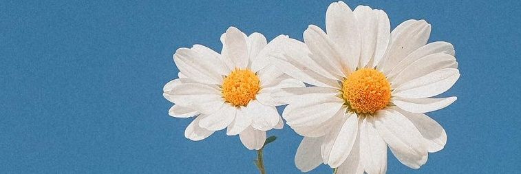 kkndyh's profile banner image