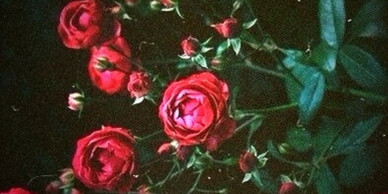mopszozik's profile banner image