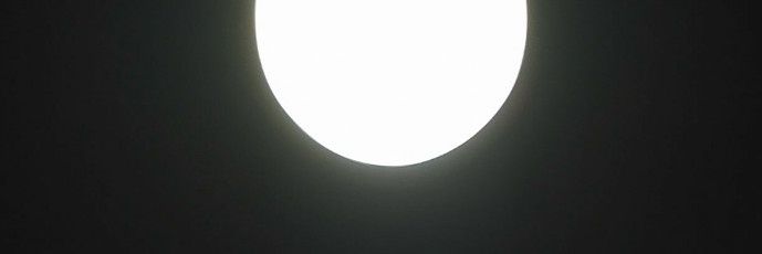 ledalede8182's profile banner image