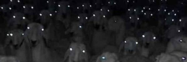 Alvarorott48205 Profile Banner