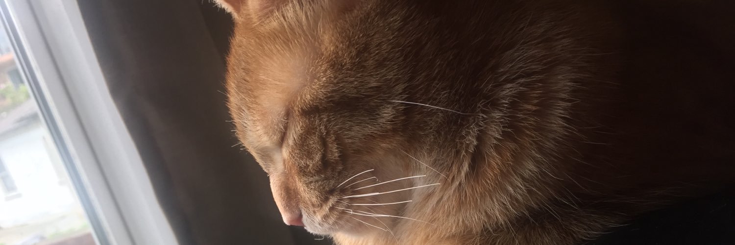 Kristinainaaa's profile banner image