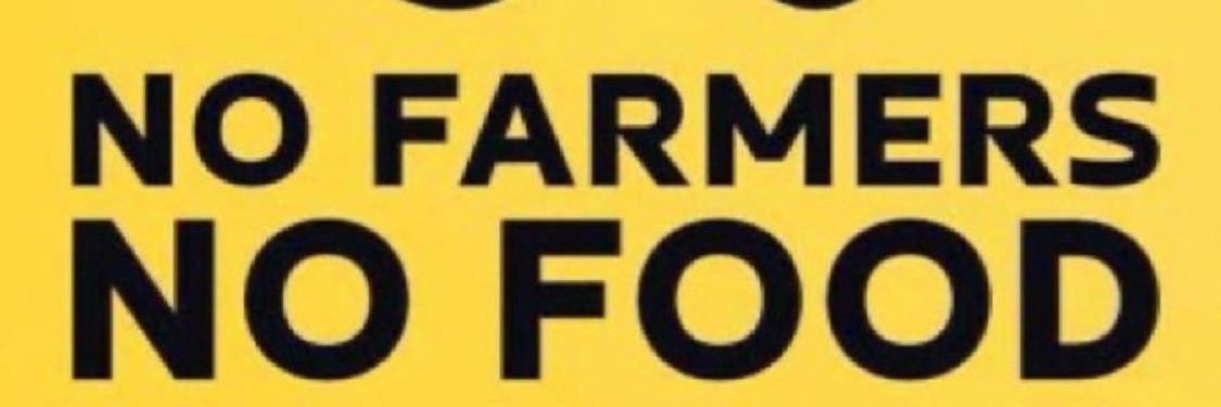 Pauline Walker banner