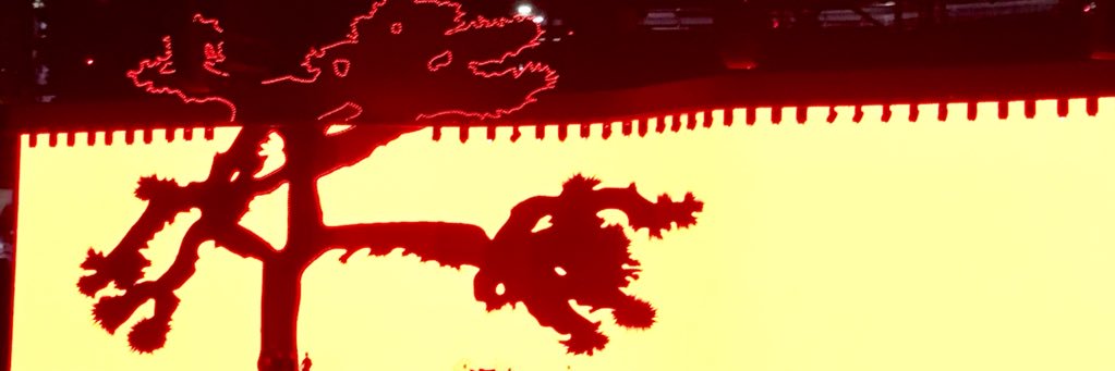 zoedognj's profile banner image