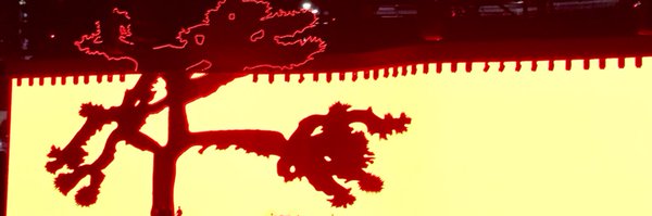 zoedognj Profile Banner