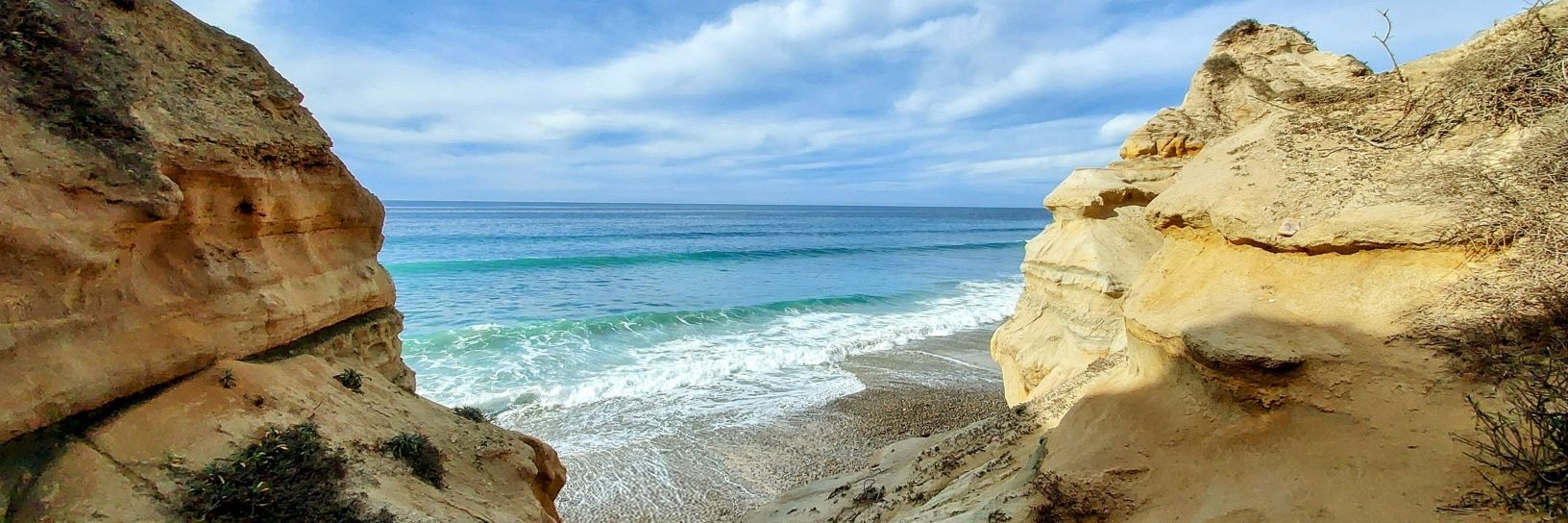 𝑩𝒓𝒂𝒙𝒕𝒐𝒏 banner