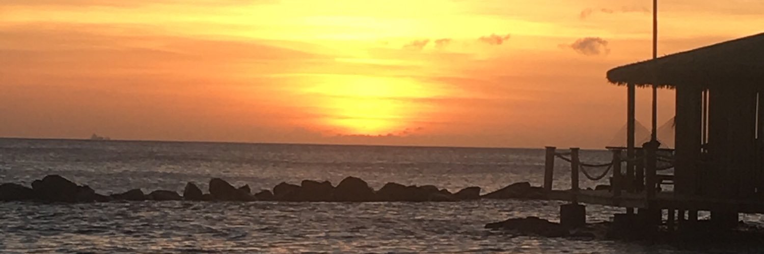 shelleysutton's profile banner image