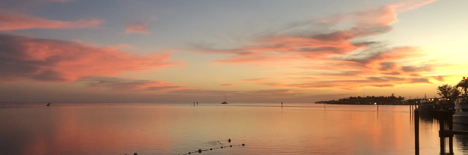 Deborah Rushing banner