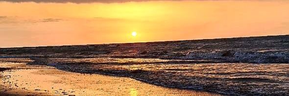 samaneh9297's profile banner image