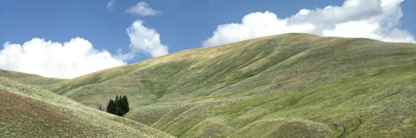 ajeaton Profile Banner