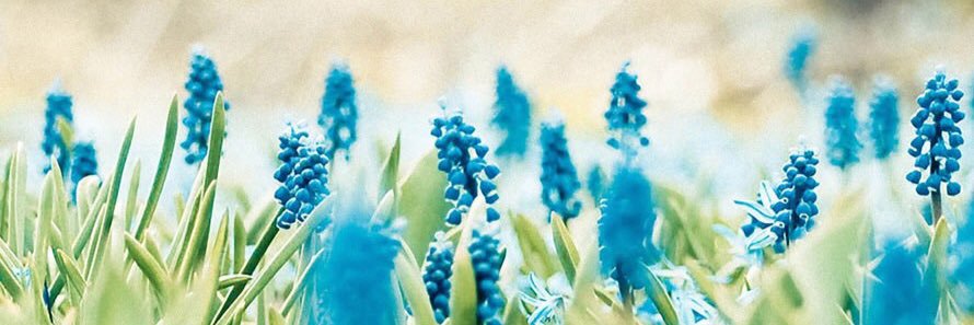 cosmopolitan_46's profile banner image