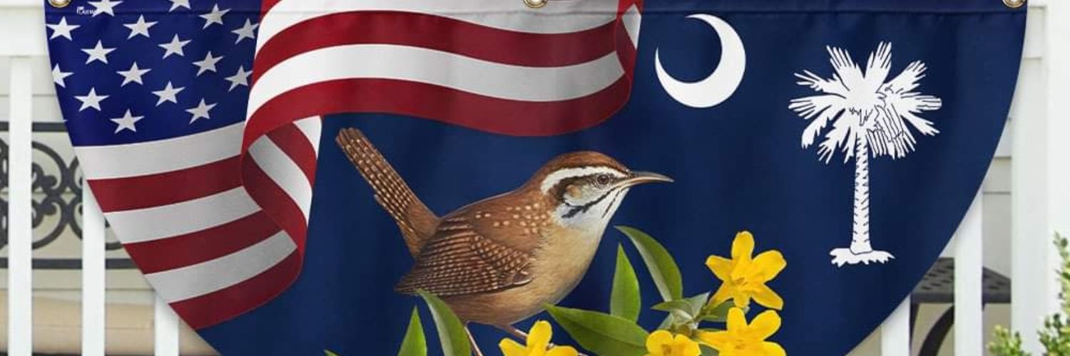 Calico's Rescue banner